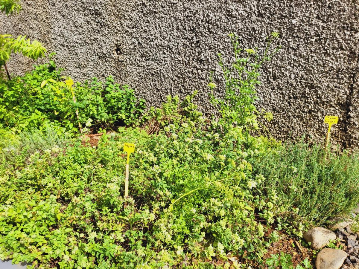 Villa Paradise Madeira Ocean View Fajã da Ovelha Kültér fotó